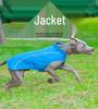Clearance Windproof & Waterproof Large Dog Sporty Jacket - Warm, Cold-Proof Pet Clothing