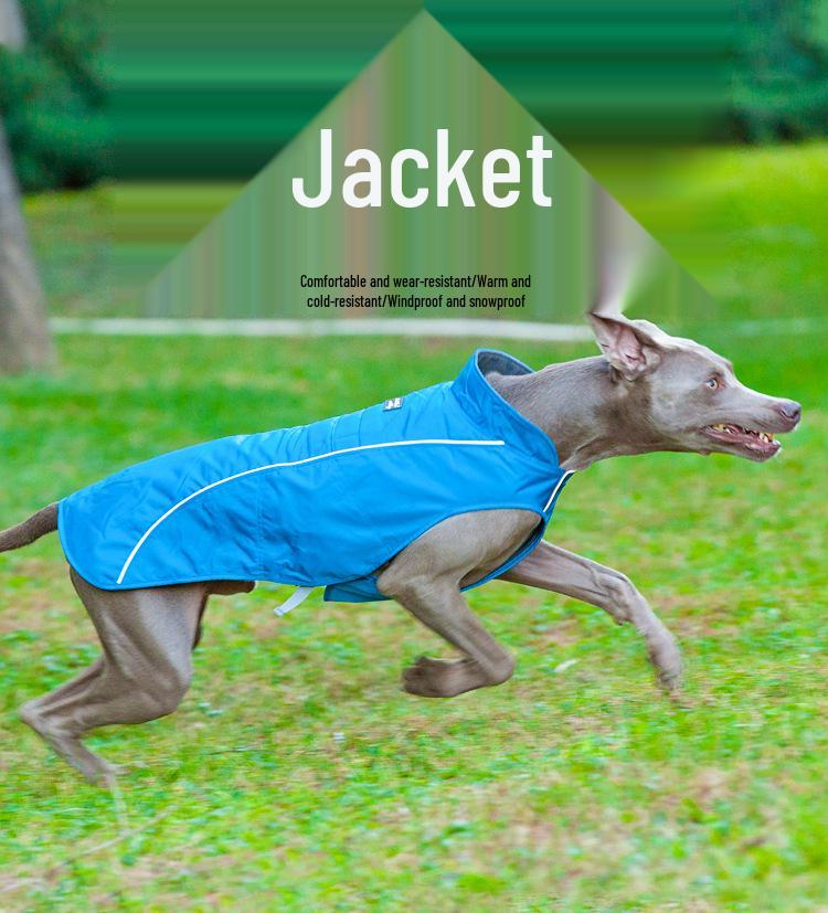 Clearance Windproof & Waterproof Large Dog Sporty Jacket - Warm, Cold-Proof Pet Clothing