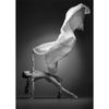 Black and White Angel Dancer Ballerina Posters Canvas Print Paintings Ballerina Dancing Mural Wall Art Pictures Home Room Decor
