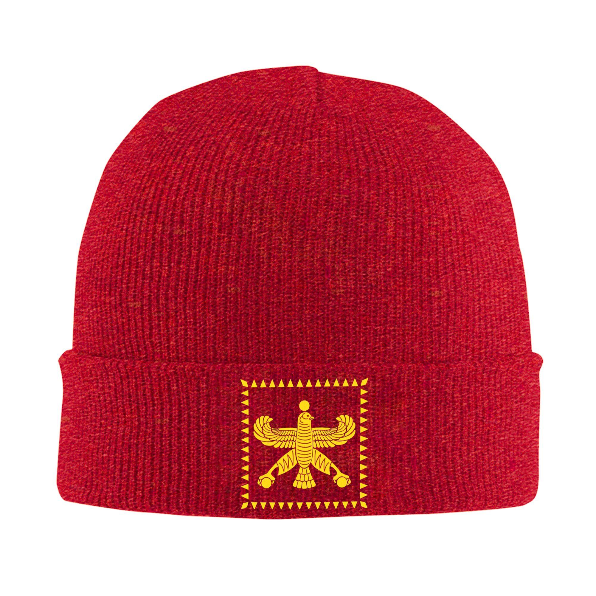 

Persian Flag Achaemenid Empire Flag Beanie Hats Bonnet Hats Men Casual Outdoor Sport Skullies Beanies Autumn Thermal Elastic Cap One Size