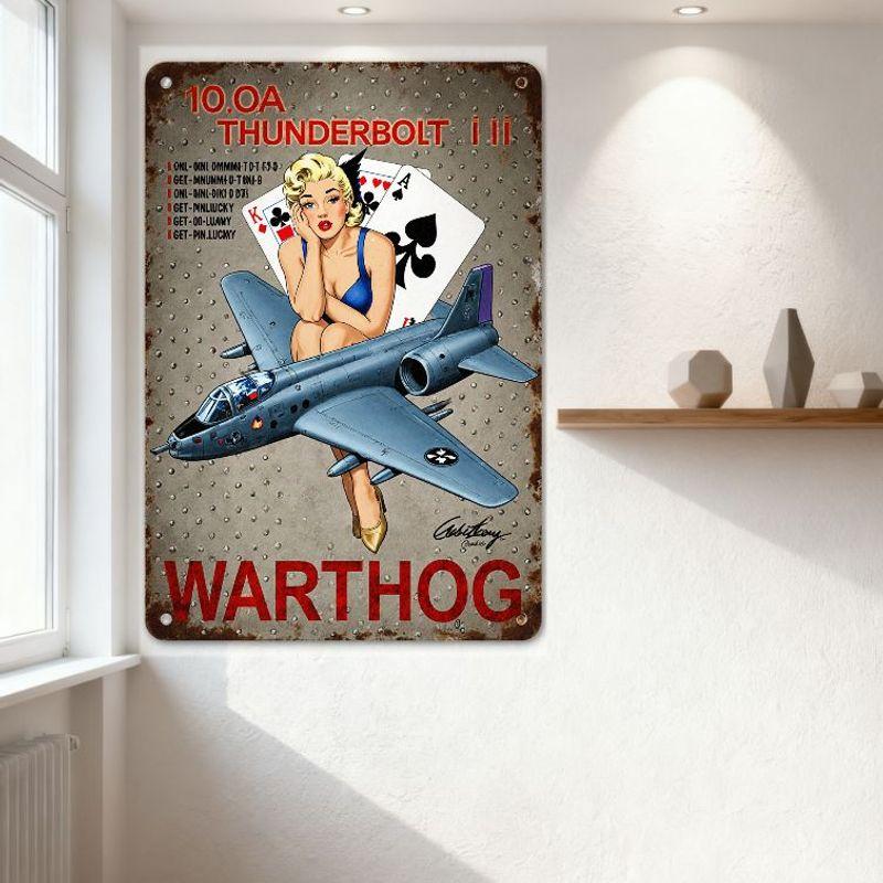 Vintage Thunderbolt III A-10 Warthog Military Metal Tin Sign Pin-Up Girl Ace of Spades King of Clubs Retro Home Decor for Man Ca