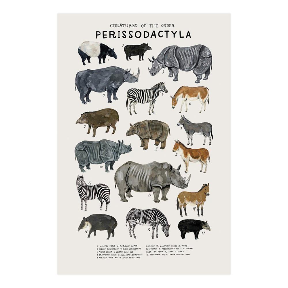 Abstract Marine Organisms Jellyfish Whale Squid Fishes Posters Canvas Painting and Prints Wall Art Picture for Room Home Decor