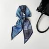 Double-layer scarf, streamer, women's cashew print silk scarf, long strip, high-end sense binding bag decoration, suit scarf, silk scarf wholesale