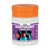 Divya Pharmacy Kanthamrit Comprimidos Mastigáveis 80 Unidades X Pacote de 2 para Hálito Fresco e Higiene Oral