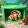 3-In-1 Hermit Crab Feeding Platform, Hideout, And Non-Slip Ramp Suitable For Reptile/Invertebrate Enclosures