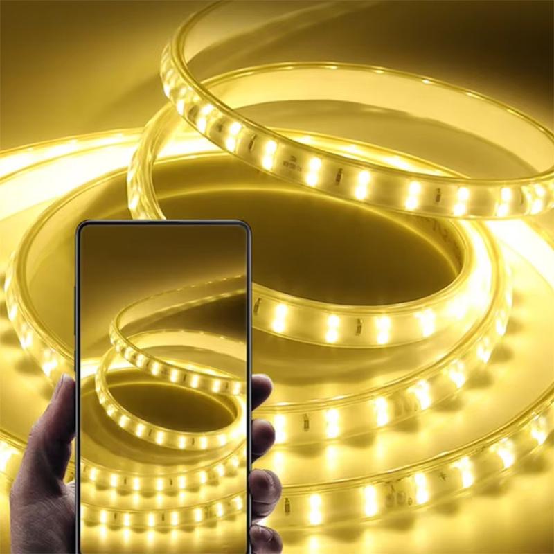 220v Led strip 2835 High Brightness 120LED/m with ON-OFF Switch Waterproof Flexible Led Tape Diode Lamp for Home Room Decor