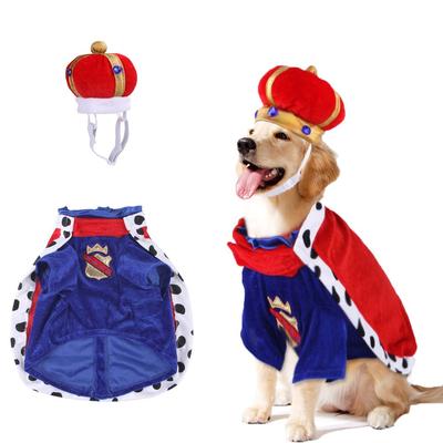 Giyim ve ayakkabı – Köpek Aksesuarları