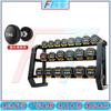 Fengta Fixed Steel Dumbbell Set with Rack