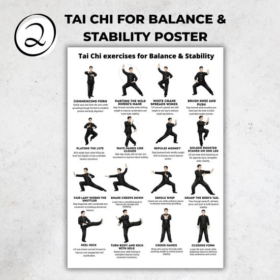 3Pcs Seated Tai Chi Practice Poster for Seniors Balance Stability Training