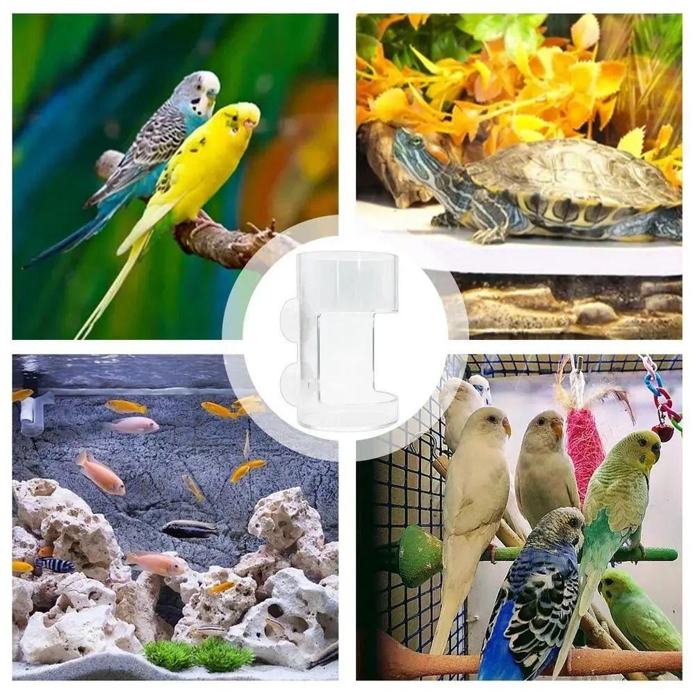 Transparent Station Floating Food Tray Square/Circle Aquarium Feeding Ring  Fish Tank