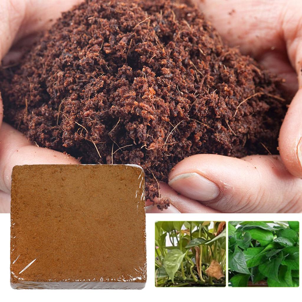 Organic Coconut Coir for Plant Concentrated Seed Starting Mix Seed Starter Soil Block Potting Fertilizers Garden Supply