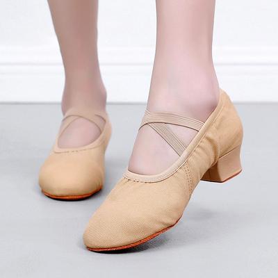Ballet Dance Shoes Women Teacher Stage Indoor Training Shoes Soft Sole SlippersPractice Shoes Girls Jazz Dancing Shoes