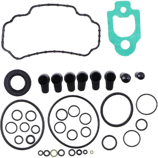 

HOLDWELL Fuel Pump Repair Kit 7135-277H 7135277H compatible with Cummins Engine 4BT4.5-TC99HP-2200 B4.5
