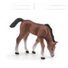 Wild Shire Horse Lipizzaner Pvc Model For Kids Educational Display