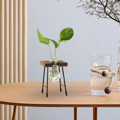 Flower Vase Glass Wooden Frame Transparent Display Flowers Plant Terrarium Modern for