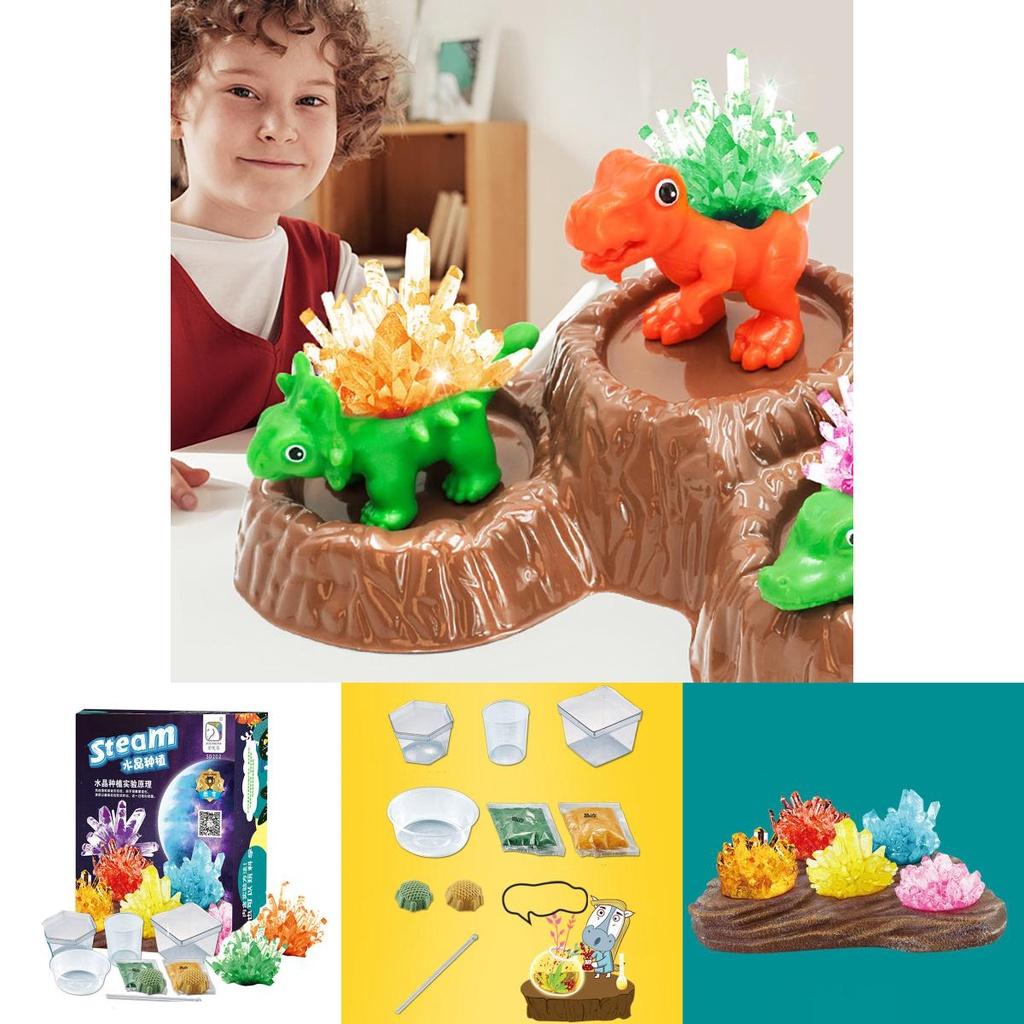 Dziecięcy Zabawny Eksperyment Naukowy DIY Hodowla Kryształów Sadzenie Chemiczne Zabawka Materiał Plastikowy