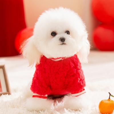 Vêtements et chaussures – Pulls pour chiens