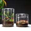 Transparent Desktop Glass Vase Perforated Cover Micro Landscape Moss Plant Pots  Desktop Decor