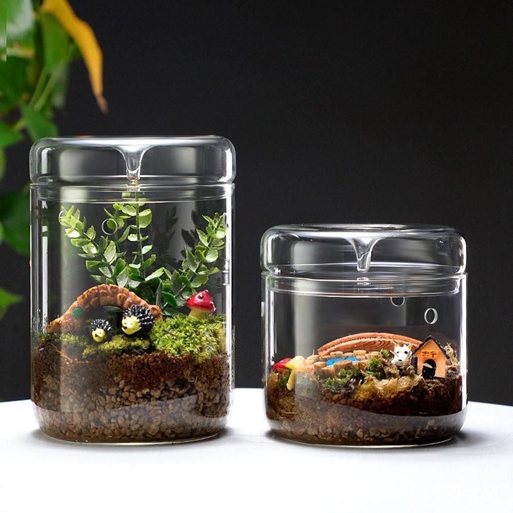 Cylinder Glass Terrarium Perforated Cover Moss Plant Pots Art Vase Micro Landscape  Indoor Planting