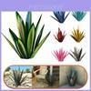 Escultura Rústica Deslumbrante de Metal Tequila com Planta Agave DIY para Decoração de Jardim