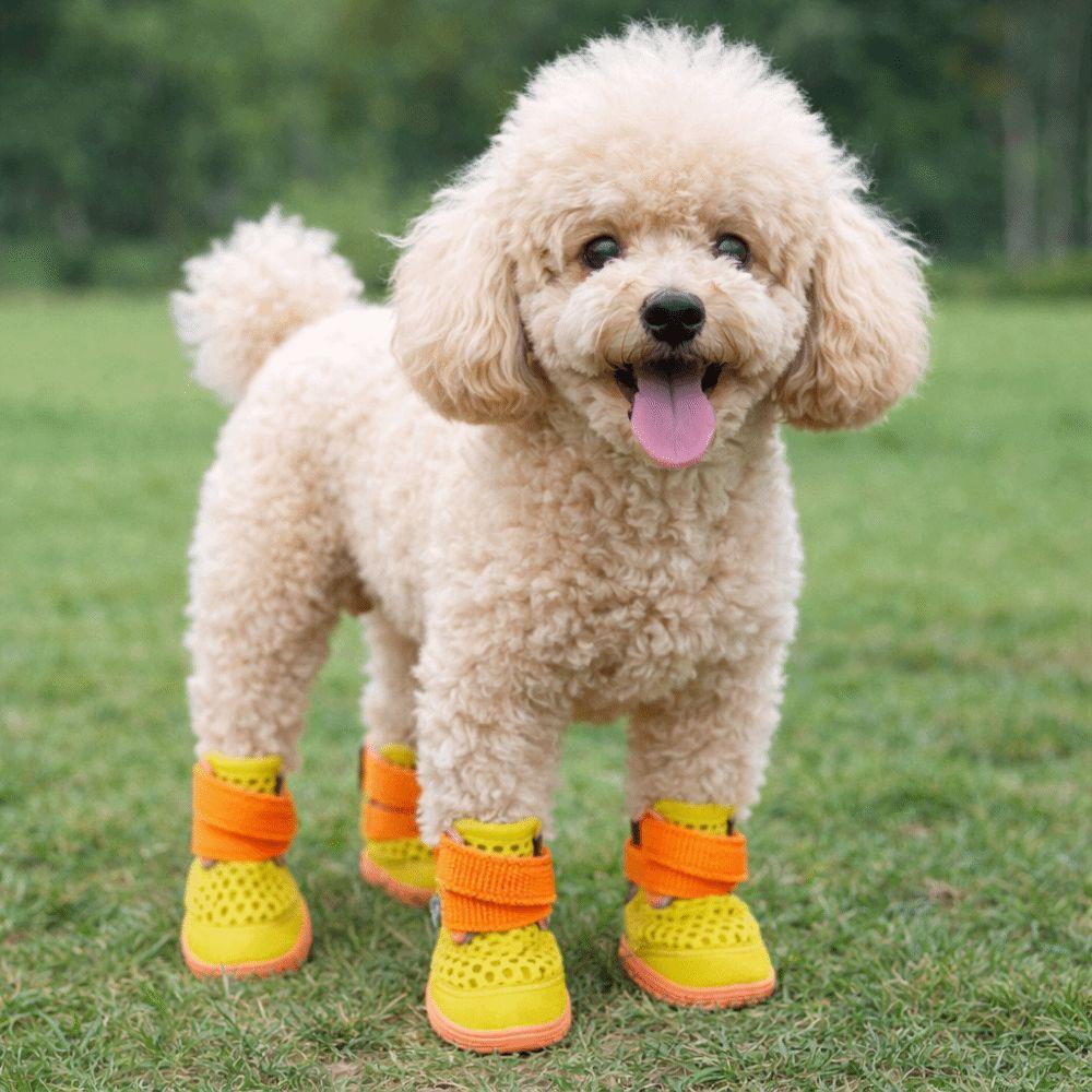 4pcs/set Breathable Anti-Slip Dog Boots Wear-Resistant Dog Paw Protectors  Night-time Walking
