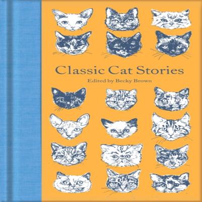 Classic Cat Stories Hardback Book 9781529020991