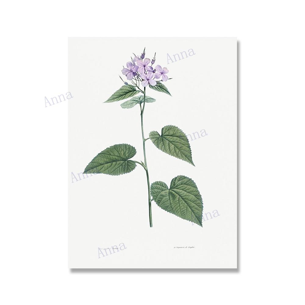 

Ретро цветы Иллюстрация настенное искусство постер ботаническая картина на холсте постер печать настенное искусство картина для декора стены гостиной 21x30cm No Framed