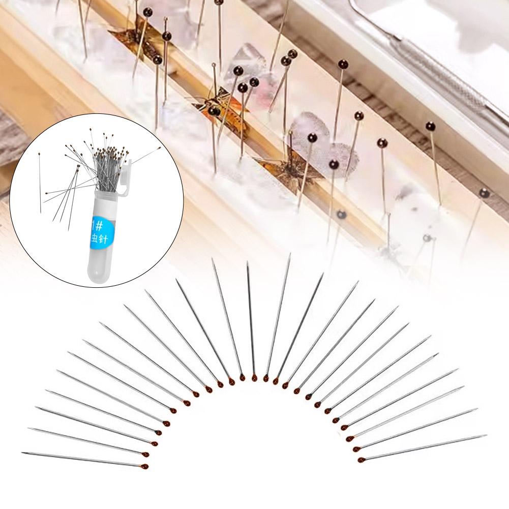 100pcs Stainless Steel Specimen Pins Insect Pins  For School Lab Education Entomology Body Dissection Positioning Insect Needle