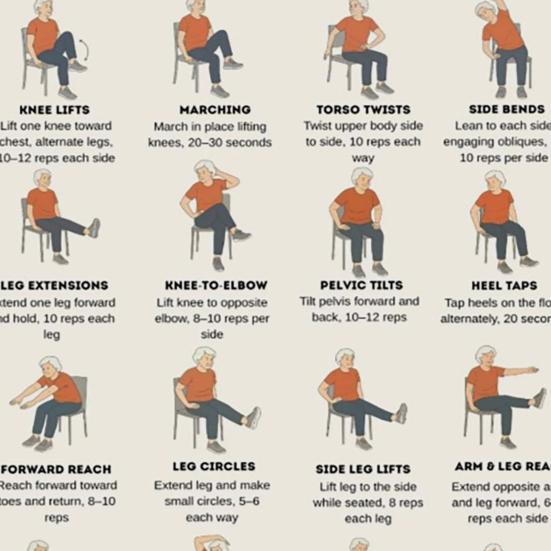 Chair Exercise Poster Seated Workout Chart Gentle Chair Yoga Movements Low Impact Exercise Guide for Seniors Beginners
