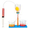Science Experiment Diy Kidney Unit Model Educational Toy For Kids Classroom Learning