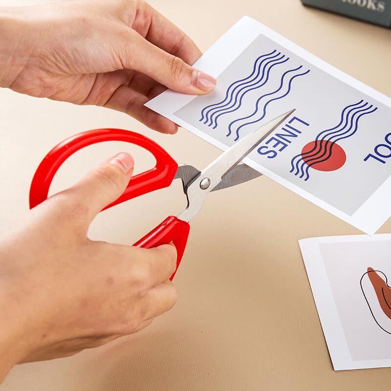 Ruhan Edelstahl Spitzschere - 3er Pack