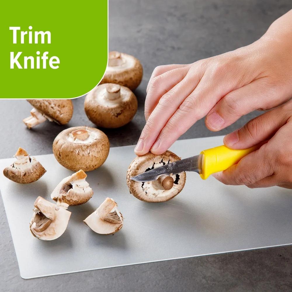 Prep Solutions 6pc Multi Color Kitchen Prep Set