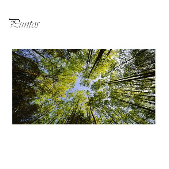 

Крышка люминесцентного светильника с 10 магнитами Изысканный узор Простая установка Фильтр люминесцентного света Магнитная крышка потолочного светильника C