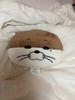 BOYNEXTDOOR)) Both Bonneck and Punneck Are Selling Face Cushions from Darling.