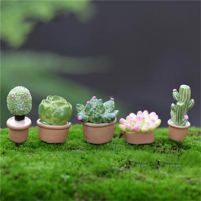 5 ks Živé Mini Umělé Sukulentní Kaktusové Rostliny Skutečný Dotek Palma Bonsaj Krajina Stolní Dekorace
