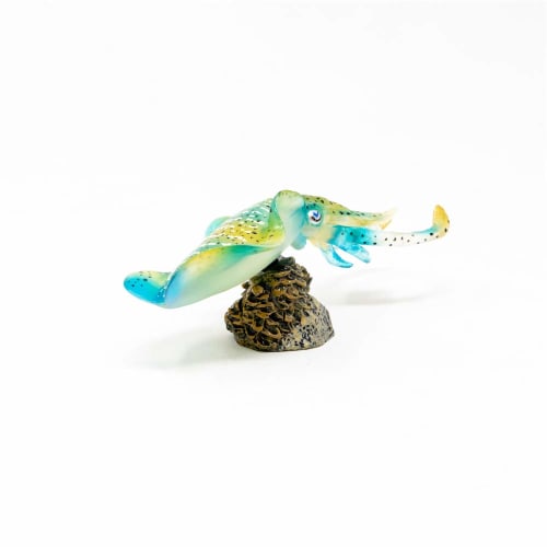 AF-202 Bigfin Reef Squid Mini Model