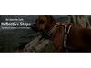 Dog Nylon Chest Harness and Leash for Large Pets