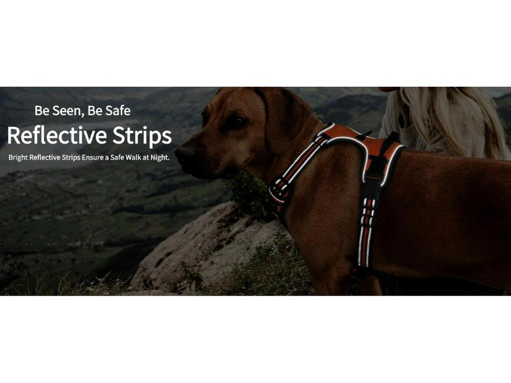 Dog Nylon Chest Harness and Leash for Large Pets