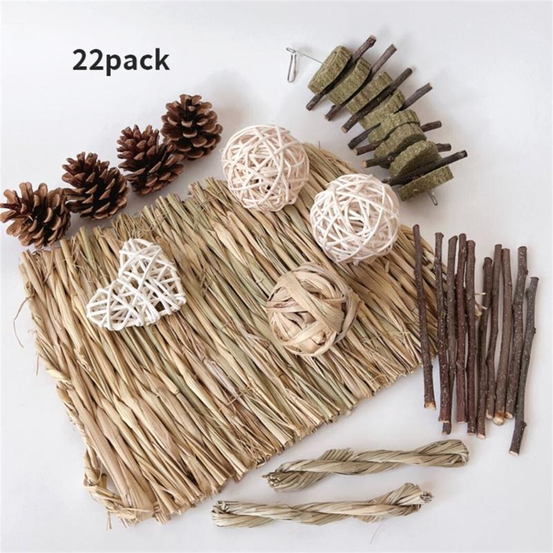 Innocuity Animal Chew Toy Suit Small Animal Playing Toy Pet Teeth Grinding Toy for Hamsters and Birds