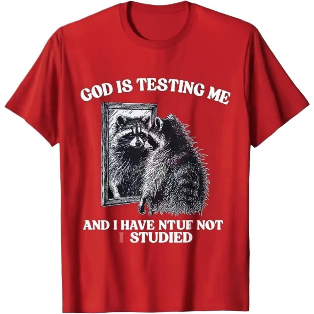 Бог меня испытывает, и я не учился. Енот Хайкюу Женская одежда Короткий рукав Круглый вырез Принт Дышащий Повседневный топ S
