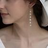 Natural Freshwater Pearl Shu Literary Beaded Ear Hook Long Fringed Super Fairy Earrings