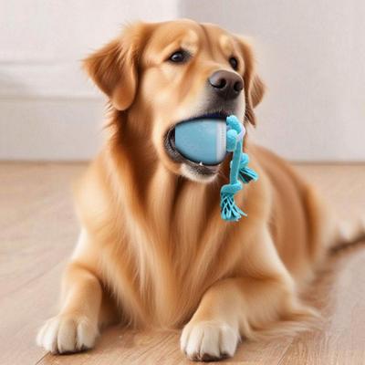 Bite Resistant Smart Pet Toy Ball Random Path 3 Modes Interactive Dog Toy Ball USB Charging with Rope Automatic Moving Ball