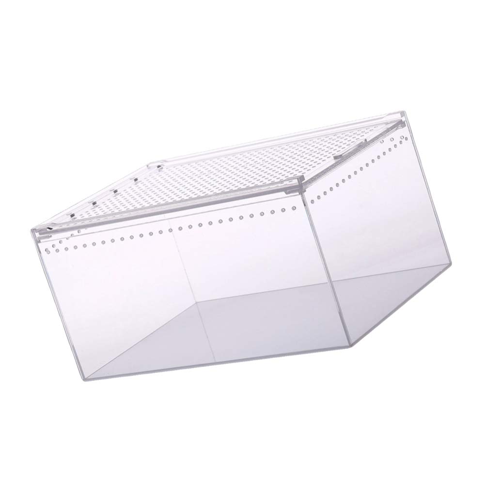 

POPETPOP Reptile Case, Transparent Reptile Cage, Breeding Container for Small Animals, Turtles, and Amphibians, 25x15x15cm