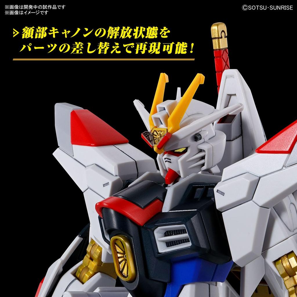 HG Mobile Suit Gundam SEED FREEDOM Mighty Strike Freedom Gundam 1/144 scale color-coded plastic model