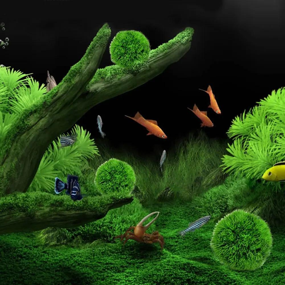 1Pc Small Simulated water plants fish tanks scenery and plants aquarium plants accessories