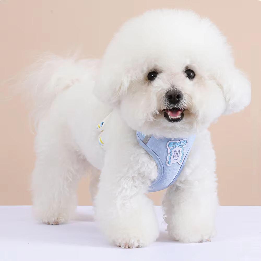 Bowknot Dog Leash Summer Cool Dog Chest Backpack Outdoor Cute Dog Walking Rope Chest Backpack(Blue-XL)