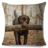 Cute Black Labrador Dog Double-Sided Printed Pillow Cover Short Plush Suitable Living Rooms Bedrooms Sofas Throw Cushion Cover