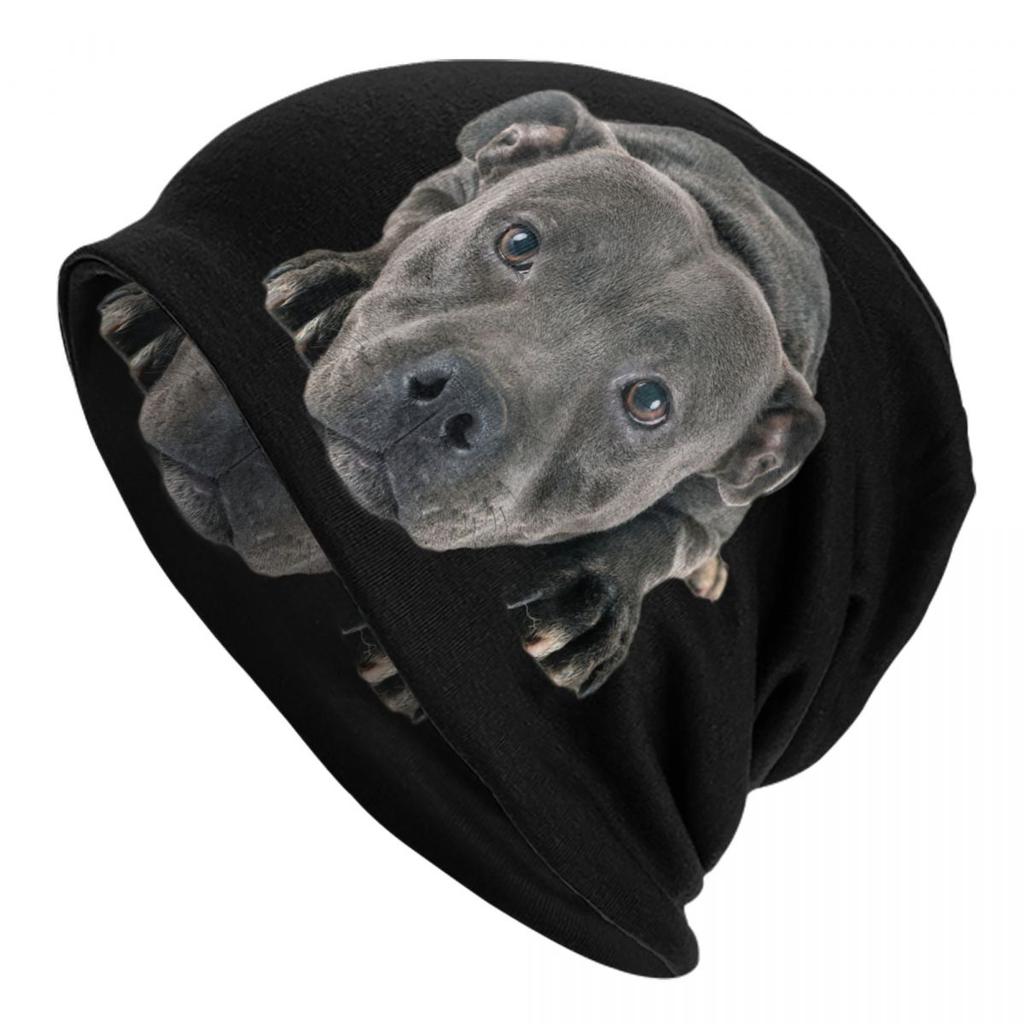 Custom Peeking Dog Jack Russell Terrier Bonnet Hats Street Knit Hat For Women Unisex Autumn Winter Pet Animal Skullies Beanies Caps