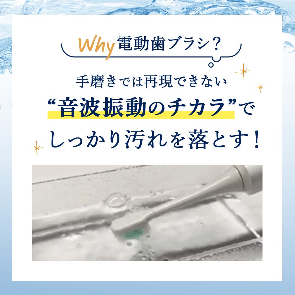 For fam Sonic Toothbrush Ohige-chan