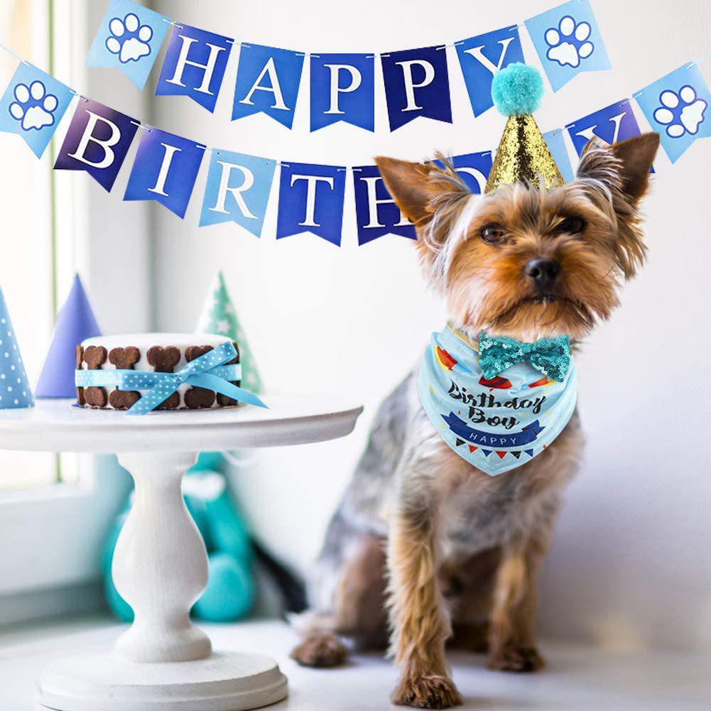 Pet Birthday Party Set: Dog Bandana, Banner & Hat